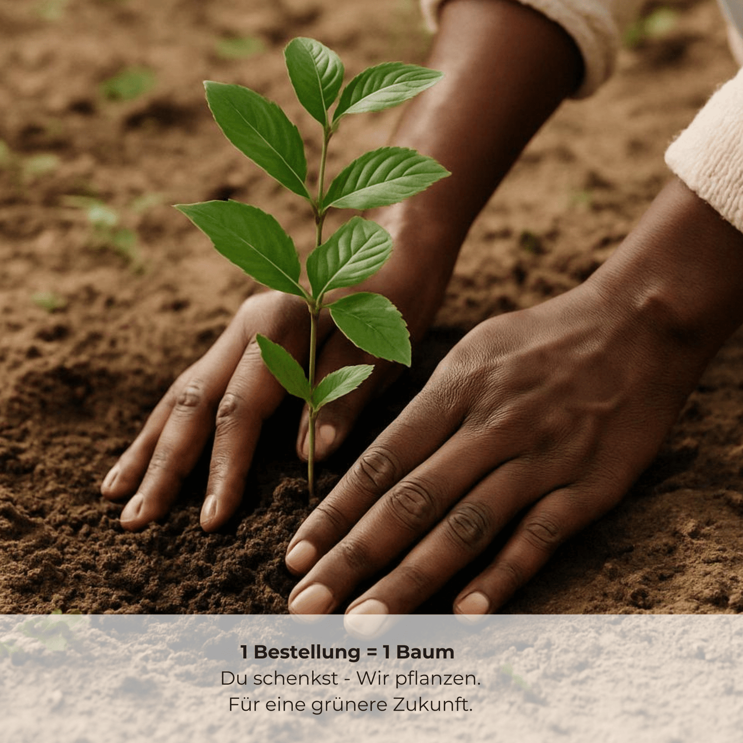 AKTIONSSET : zur Verkündung deiner Schwangerschaft - NiJeKra